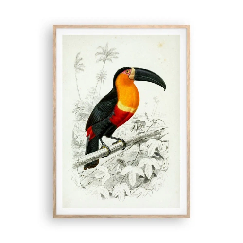 Plakat i ramme af lyst egetræ - Fuglefarver - 70x100 cm
