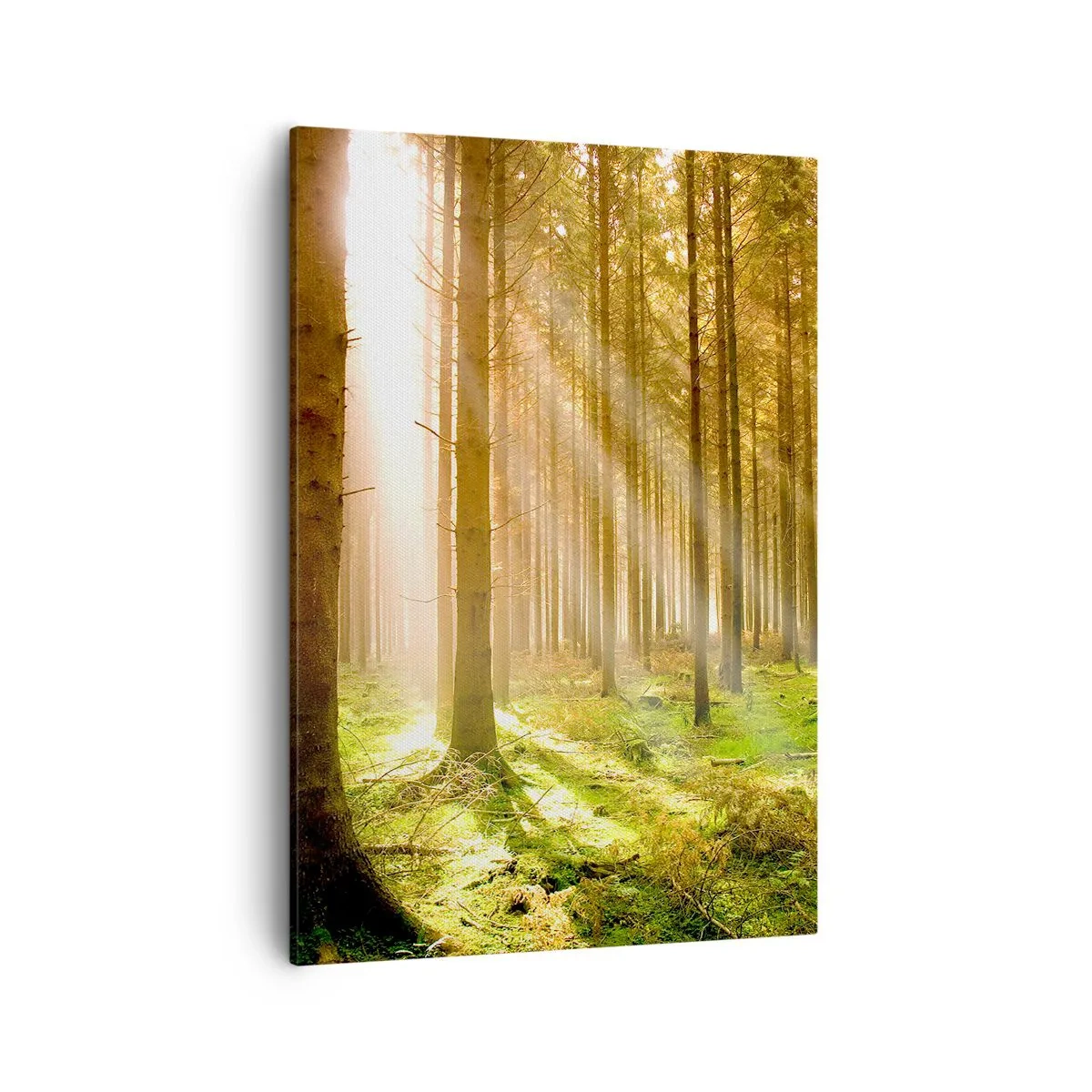 Lærredstryk - Billede på lærred - Nisserne er ved at dukke op - 50x70 cm