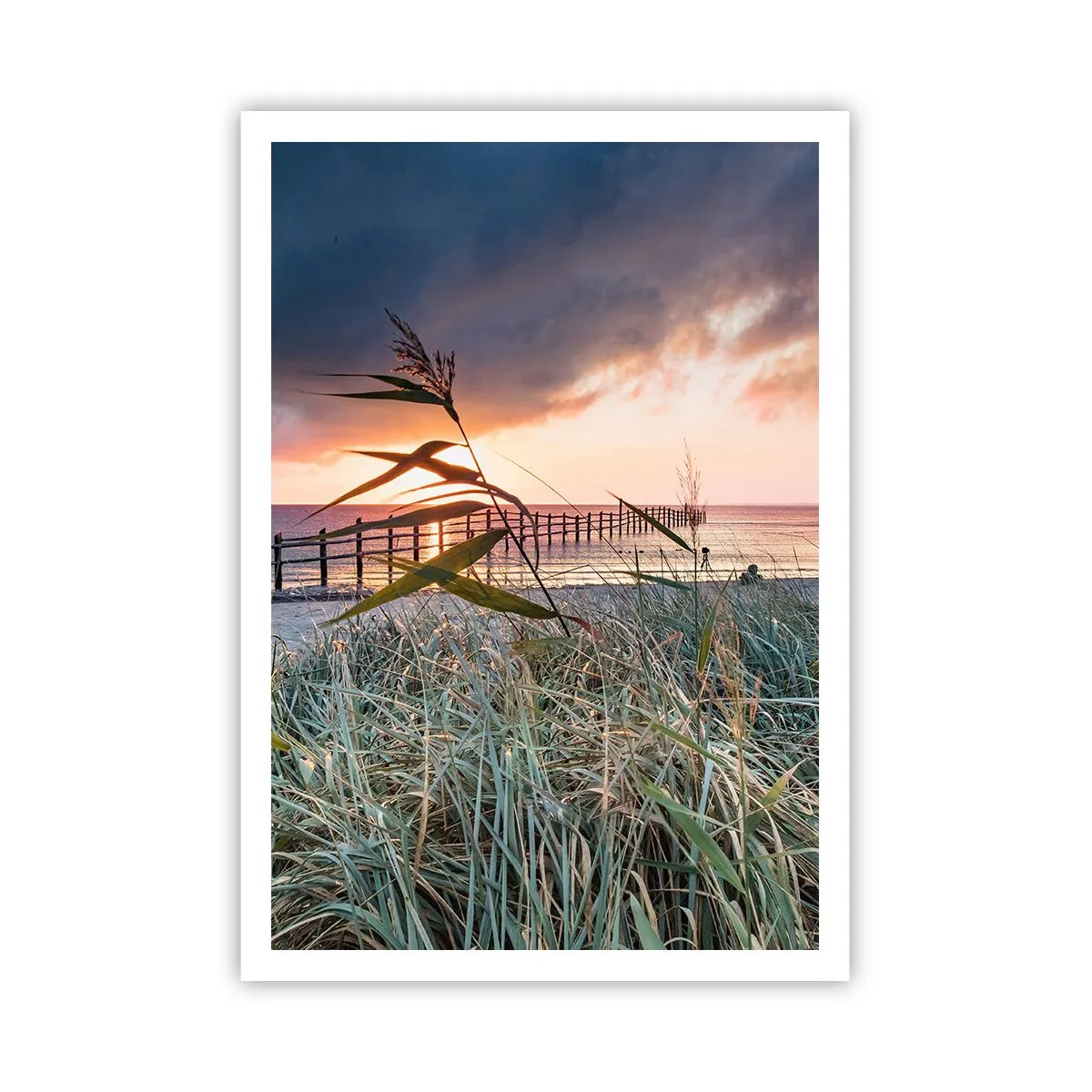 Plakat - Ikke passerer med vinden - 70x100 cm