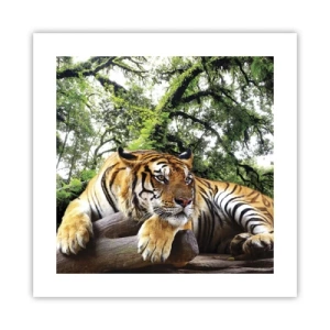 Plakat - Med venlig hilsen - 40x40 cm