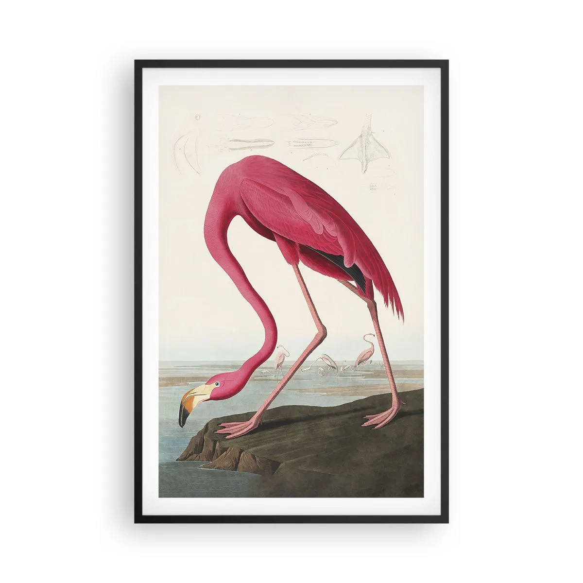 Plakat i sort ramme - Et forbløffende væsen - 61x91 cm