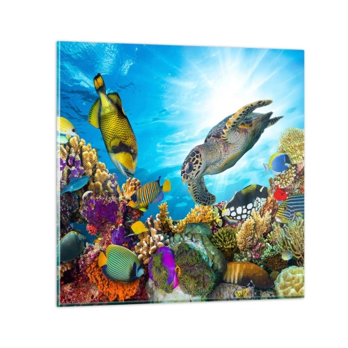 Billede på glas - Koralpromenade - 70x70 cm