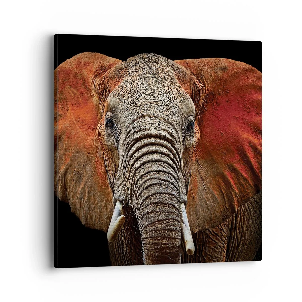 Lærredstryk - Billede på lærred - Jeg er vild, er du? - 40x40 cm