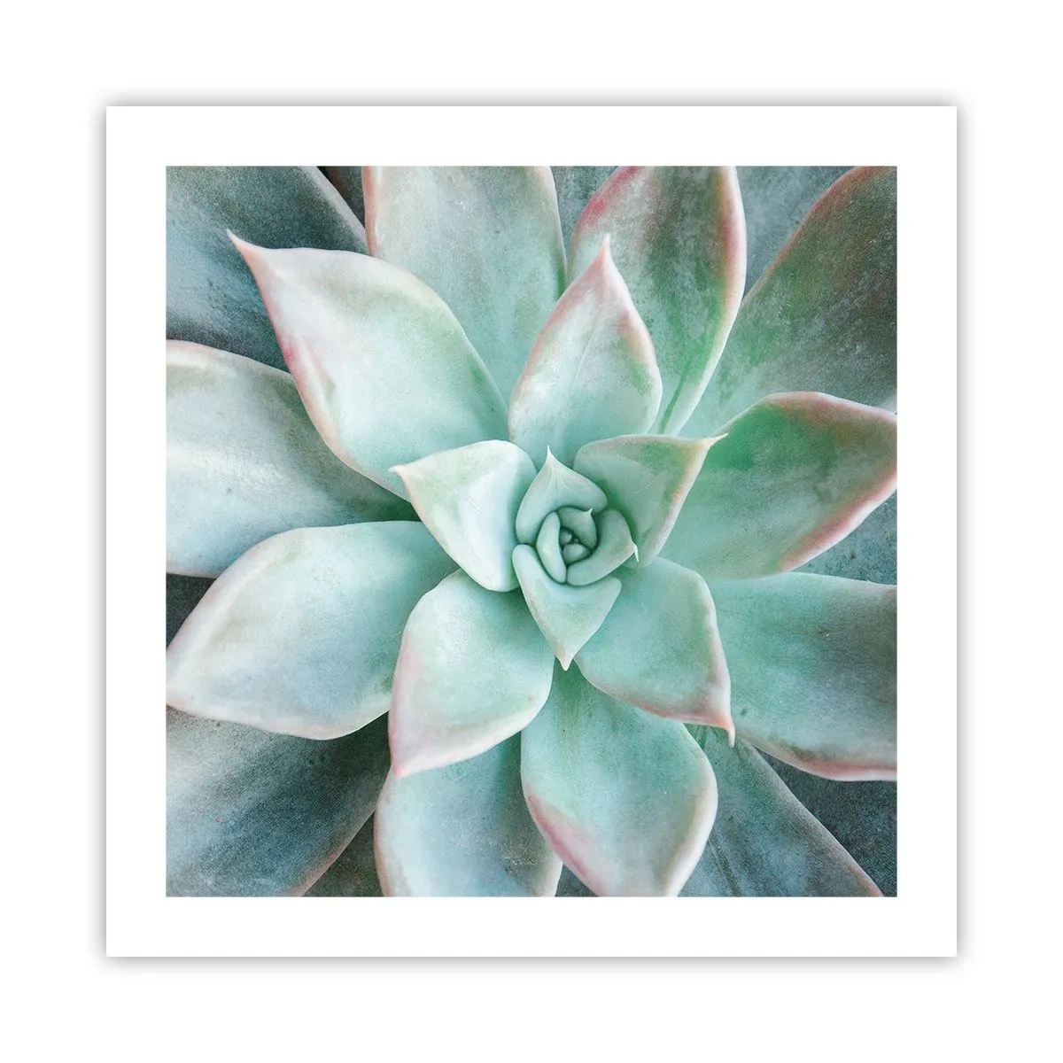 Plakat - Hjertet af ørkenen - 50x50 cm