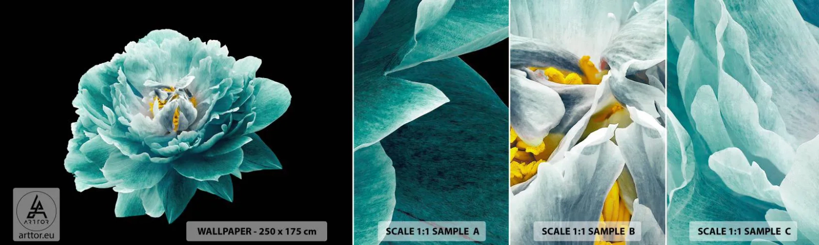Fototapet Prøve Standard Eco - Blå og gyldne kronblade - Blomst, Blomstrer, Pæon - 100x30 cm