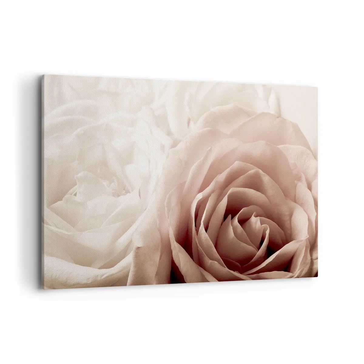 Lærredstryk - Billede på lærred - I rosens hjerte - 100x70 cm