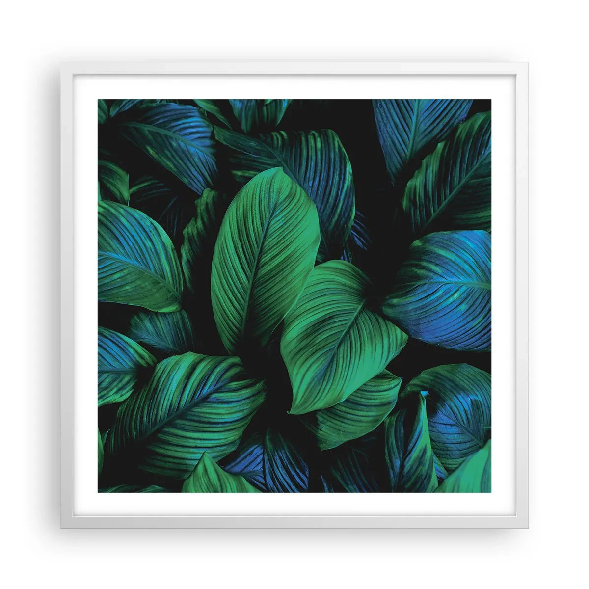 Plakat i hvid ramme - I den grønne flok - 60x60 cm