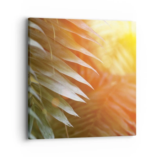 Lærredstryk - Billede på lærred - Morgen i junglen - 40x40 cm