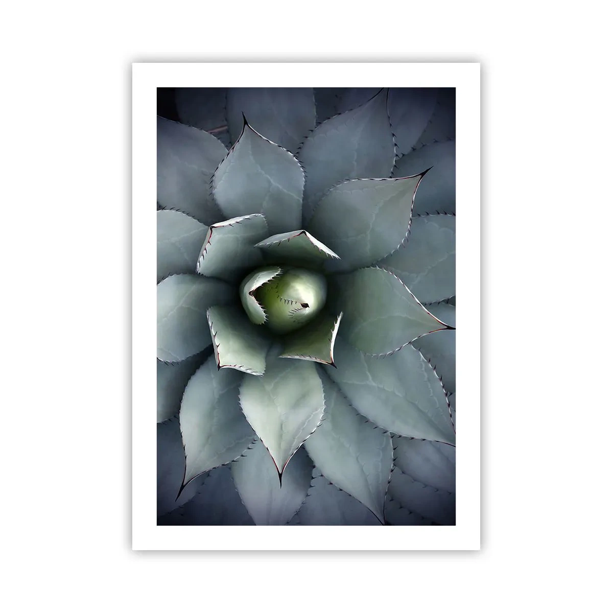 Plakat - Lokkemad og advarsler - 50x70 cm