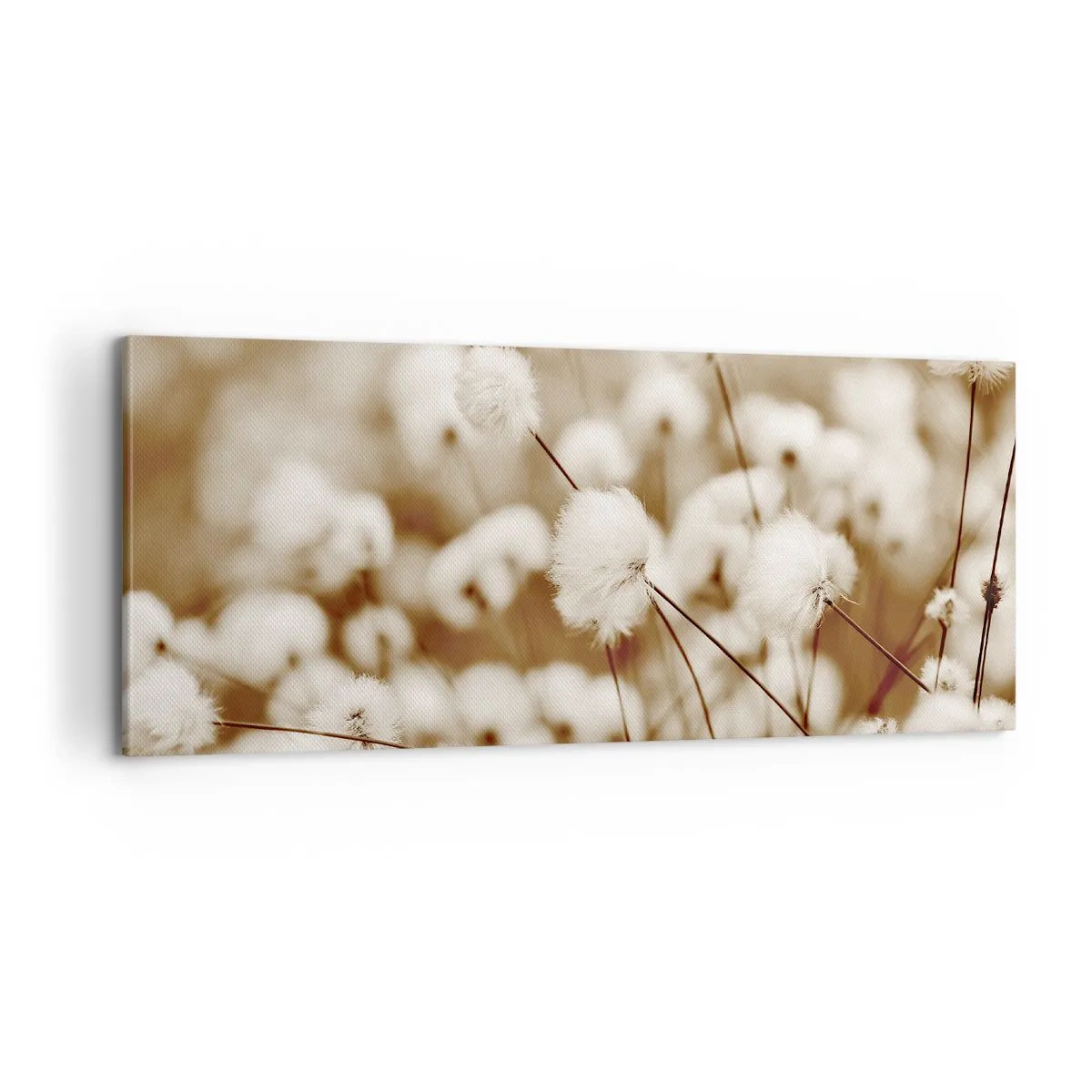 Lærredstryk - Billede på lærred - Fyldig mark - 100x40 cm