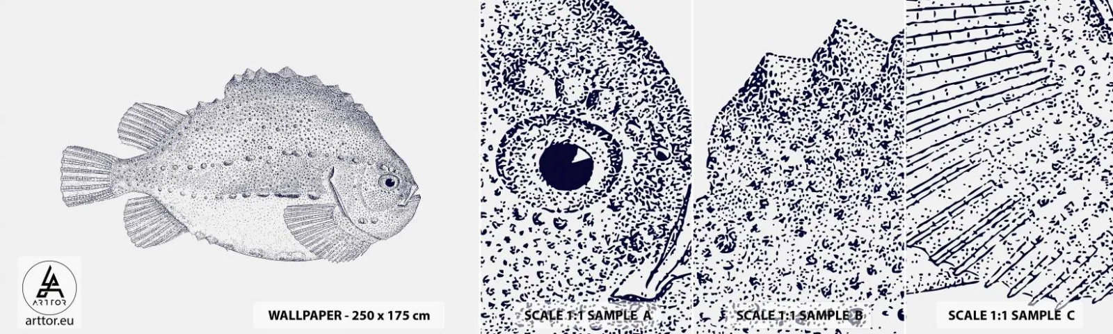 Fototapet Prøve Standard Eco - Til naturforskerens album - Fisk, Maritime, Ocean - 100x30 cm