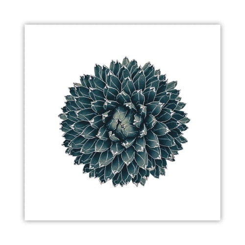 Plakat - Ørkenstjerne - 40x40 cm