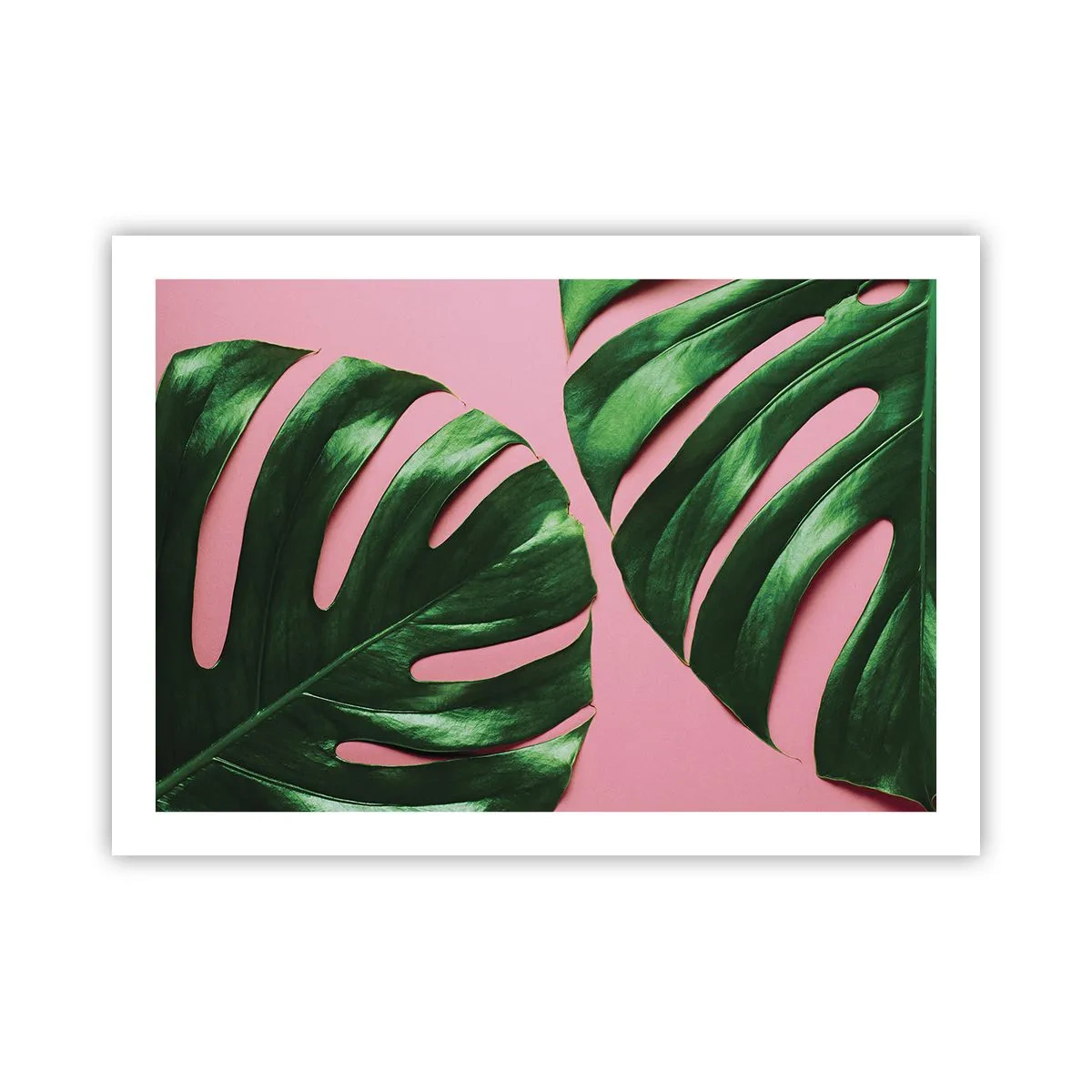 Plakat - Grønt rendez-vous - 70x50 cm