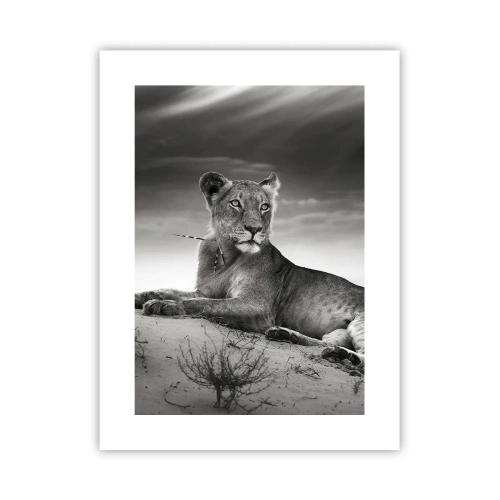 Plakat - Resten af ørkendronningen - 30x40 cm