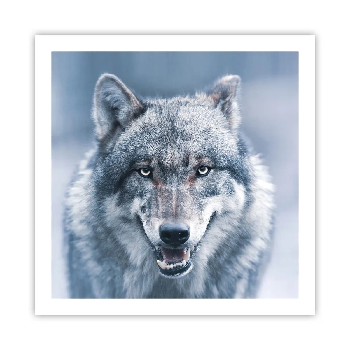 Plakat - Vil du tage udfordringen op? - 60x60 cm