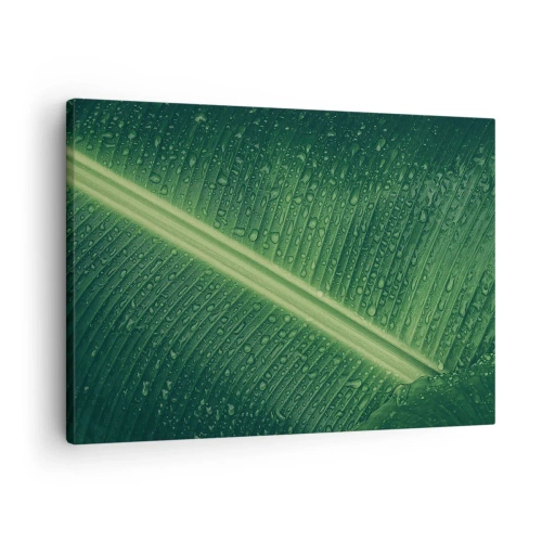 Lærredstryk - Billede på lærred - Et grønt blad med vanddråber på overfladen - 70x50cm - Grøn struktur - Moderne vægdekoration til stue og soveværelse ARTTOR