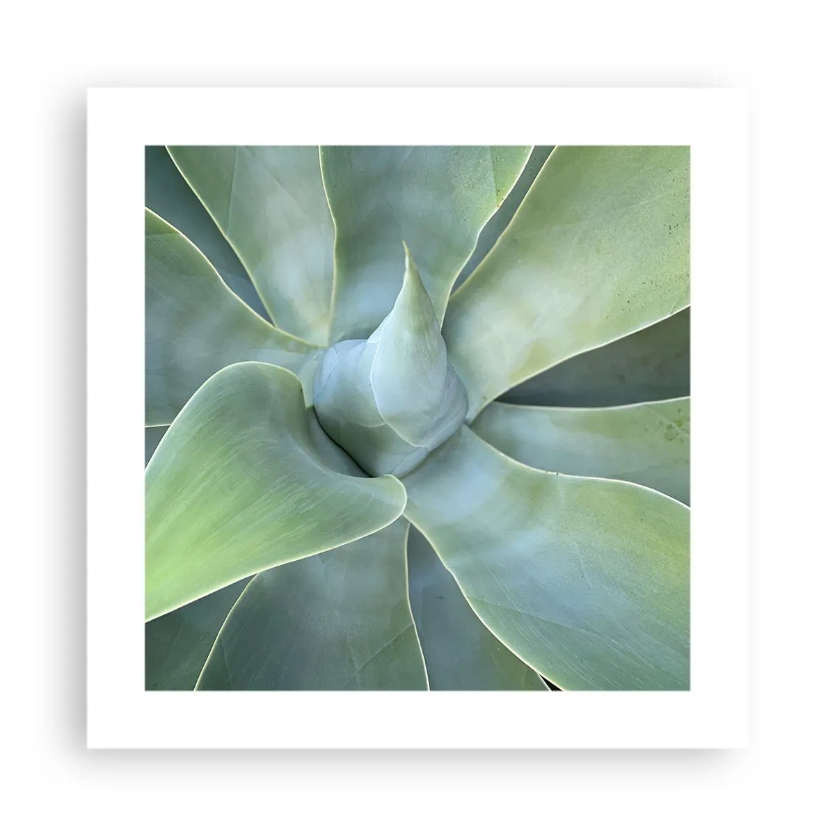 Plakat - Den grønne fødsel - 40x40 cm