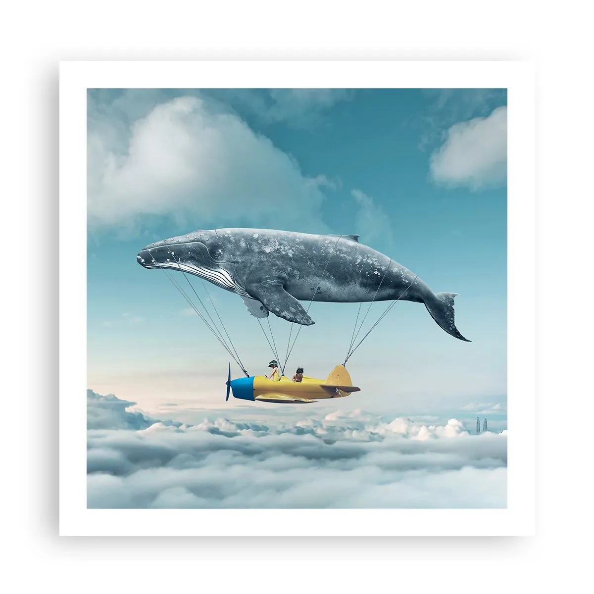 Plakat - Hvorfor ikke? - 60x60 cm