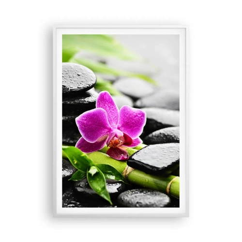 Plakat i hvid ramme - I en fredelig balance - 70x100 cm