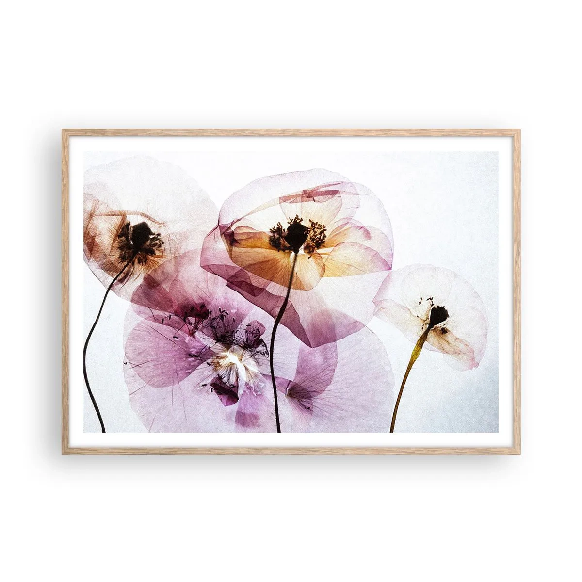 Plakat i ramme af lyst egetræ - Blomsterlegeme dias - 100x70 cm