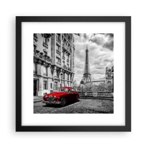 Plakat i sort ramme - Rovdyr i byen - 30x30 cm