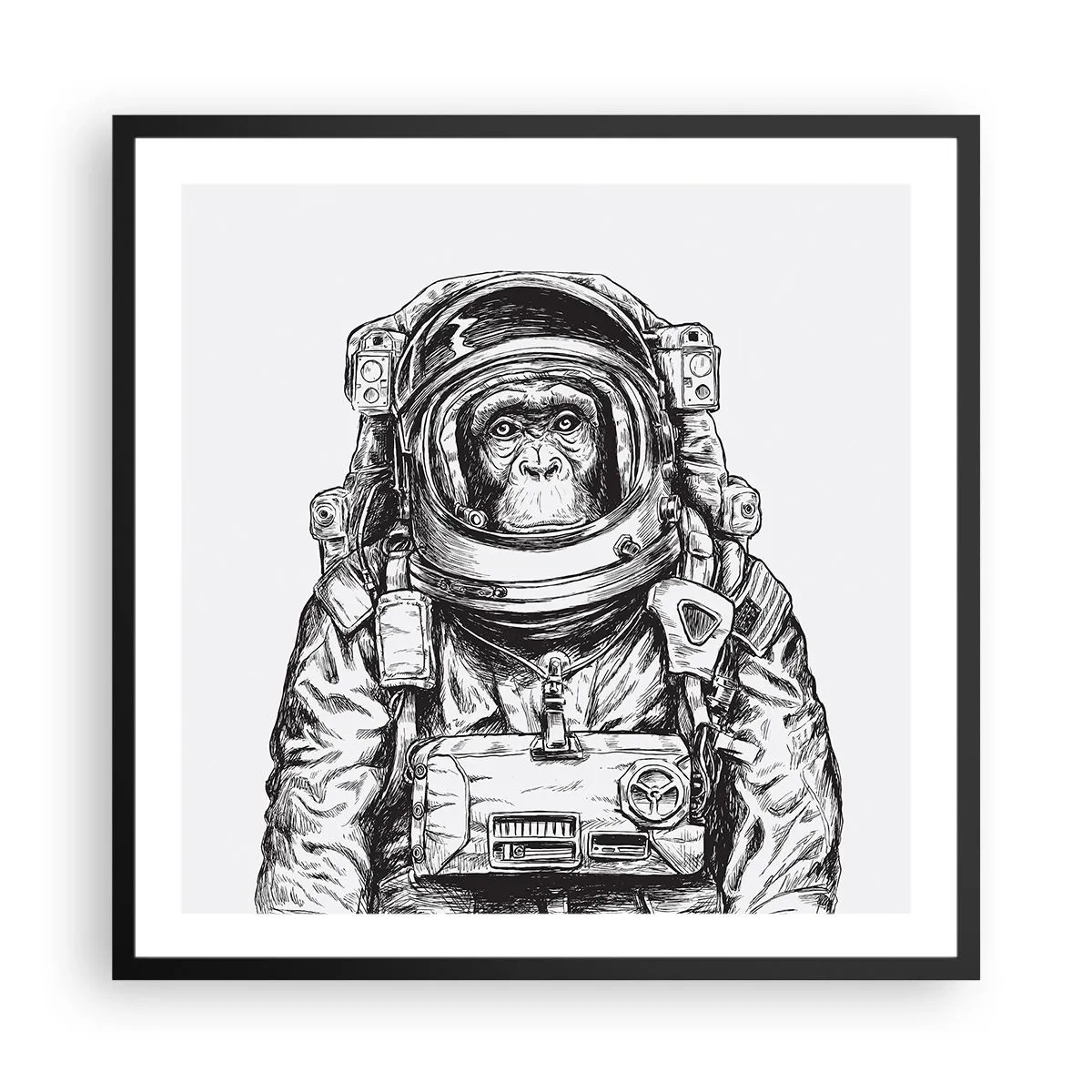 Plakat i sort ramme - Alternativ evolution - 60x60 cm