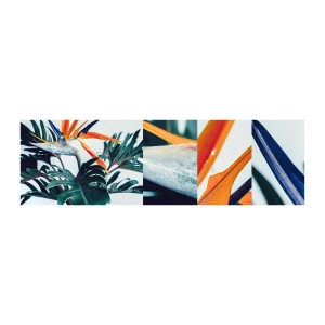 Prøve Fototapet Selvklæbende Deluxe Sticker - Fuglebur - Planter, Boho, Eksotisk - 100x30 cm