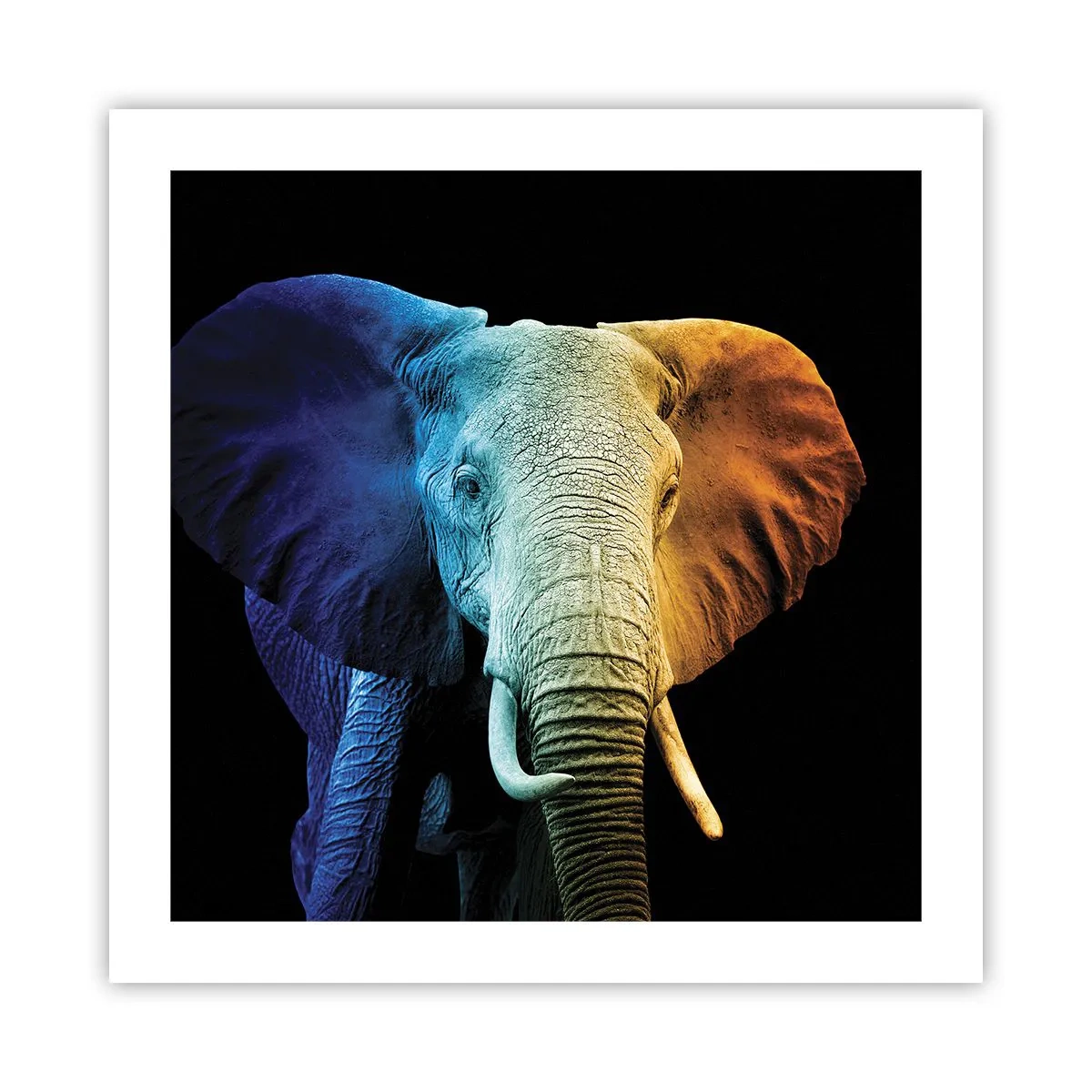 Plakat - Excentrisk, ikke underlig - 50x50 cm