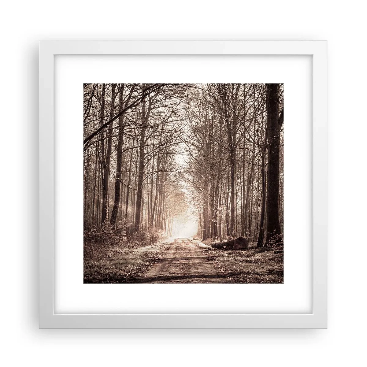 Plakat i hvid ramme - Skovkatedralen - 30x30 cm