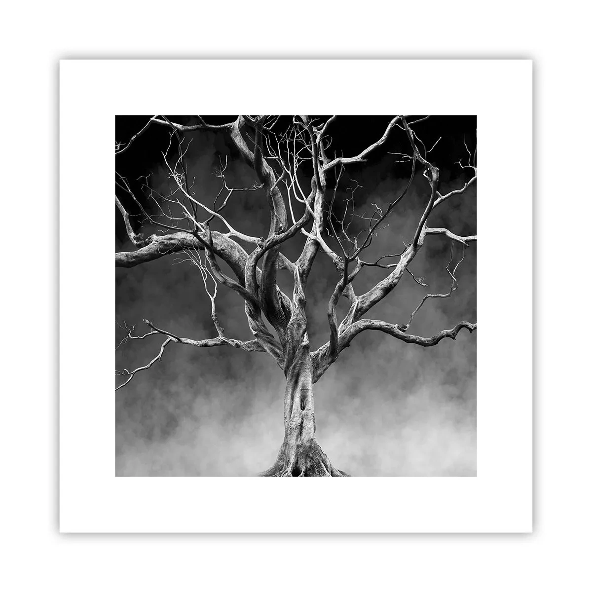 Plakat - Primær og hellig - 30x30 cm
