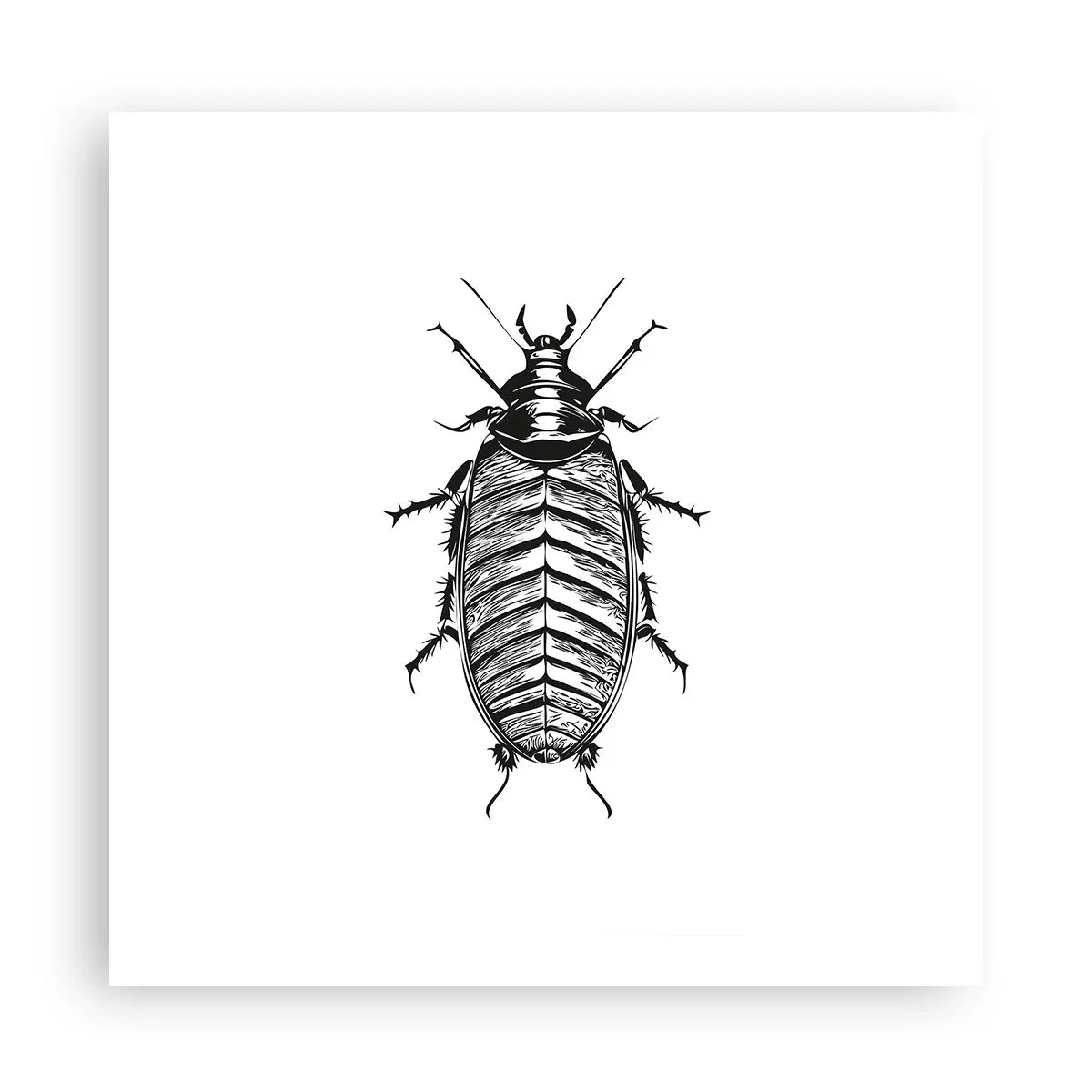 Plakat - Sikke et eksemplar! - 60x60 cm