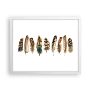 Plakat i hvid ramme - Variation med fjer - 50x40 cm