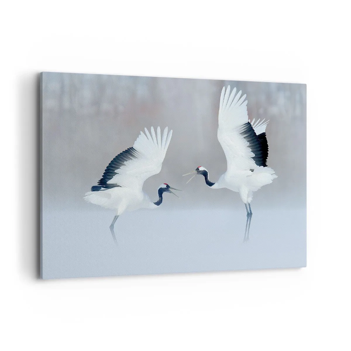 Lærredstryk - Billede på lærred - Danser i tågen - 100x70 cm