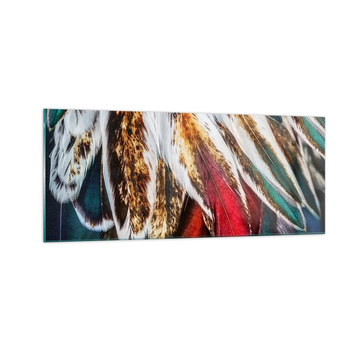 Billede på glas - Flyvningens hemmeligheder - 100x40 cm