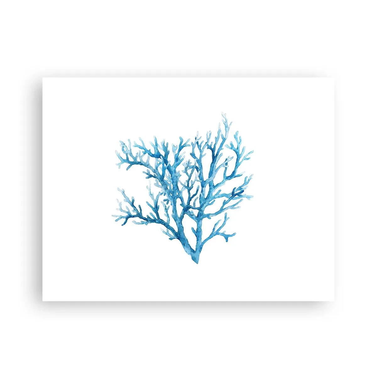 Plakat - Marint filigran - 40x30 cm