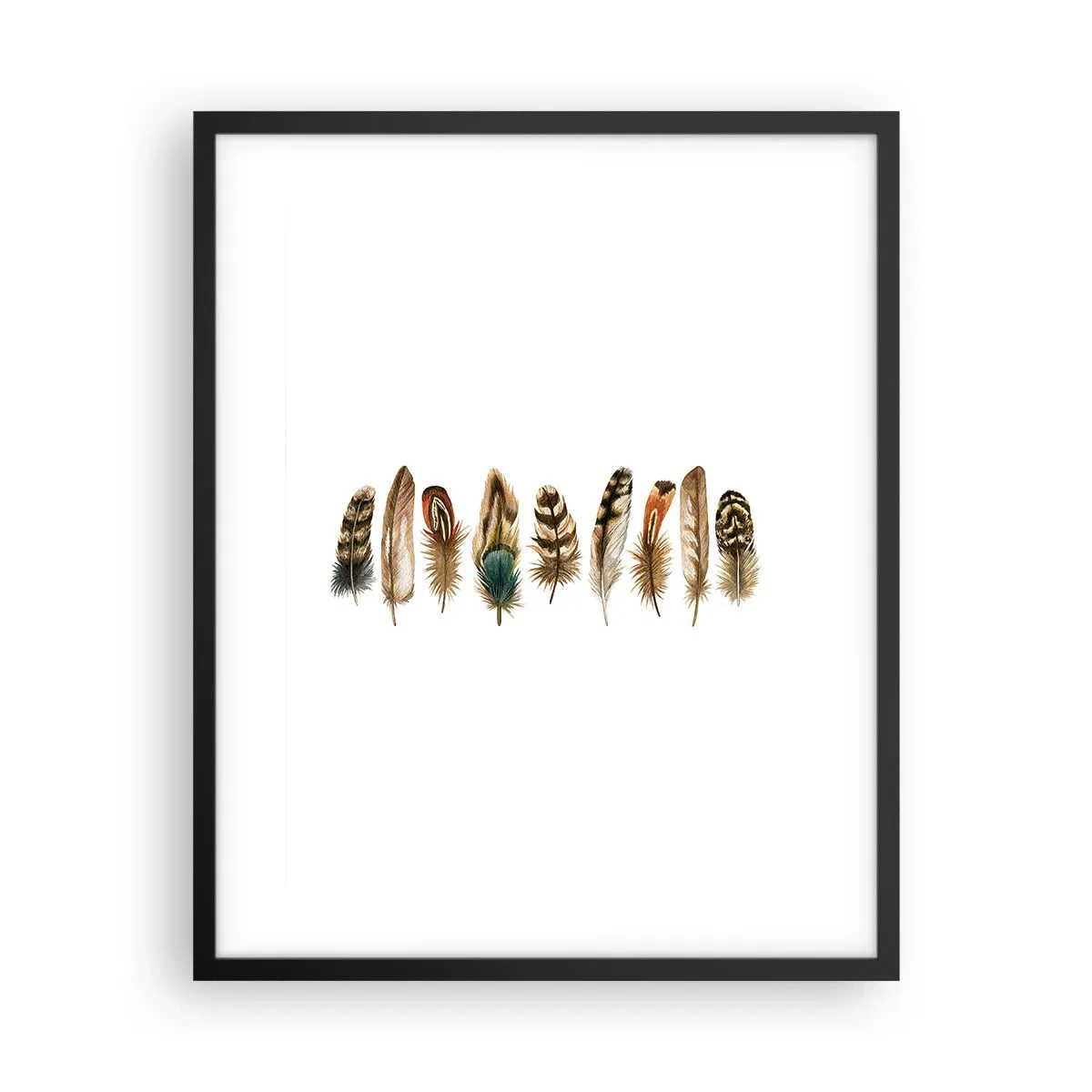 Plakat i sort ramme - Variation med fjer - 40x50 cm