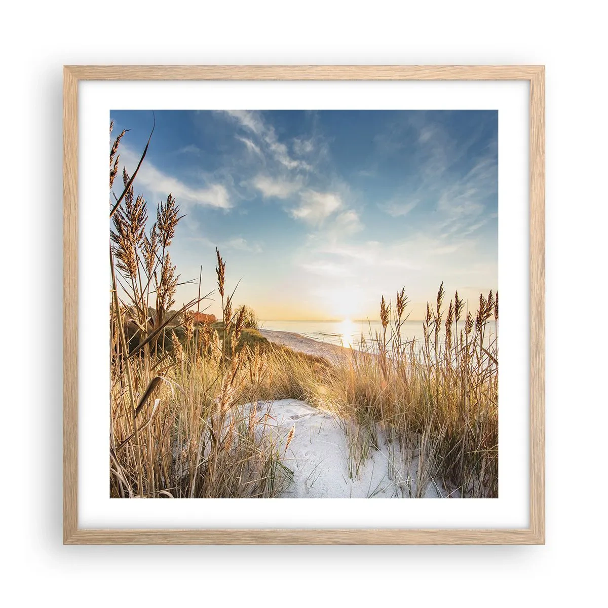 Plakat i ramme af lyst egetræ - Nordstrand - 50x50 cm