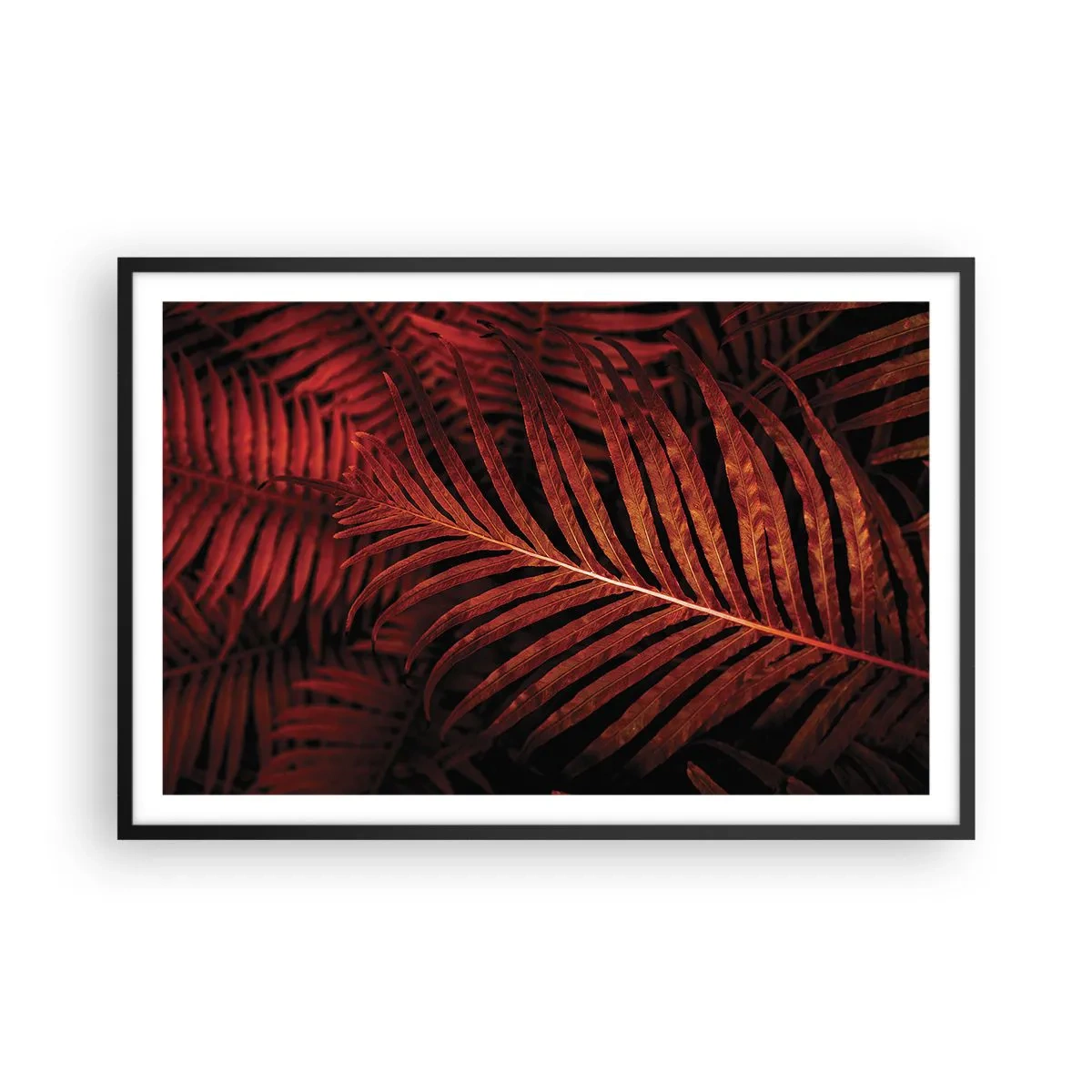 Plakat i sort ramme - Livets varme - 91x61 cm
