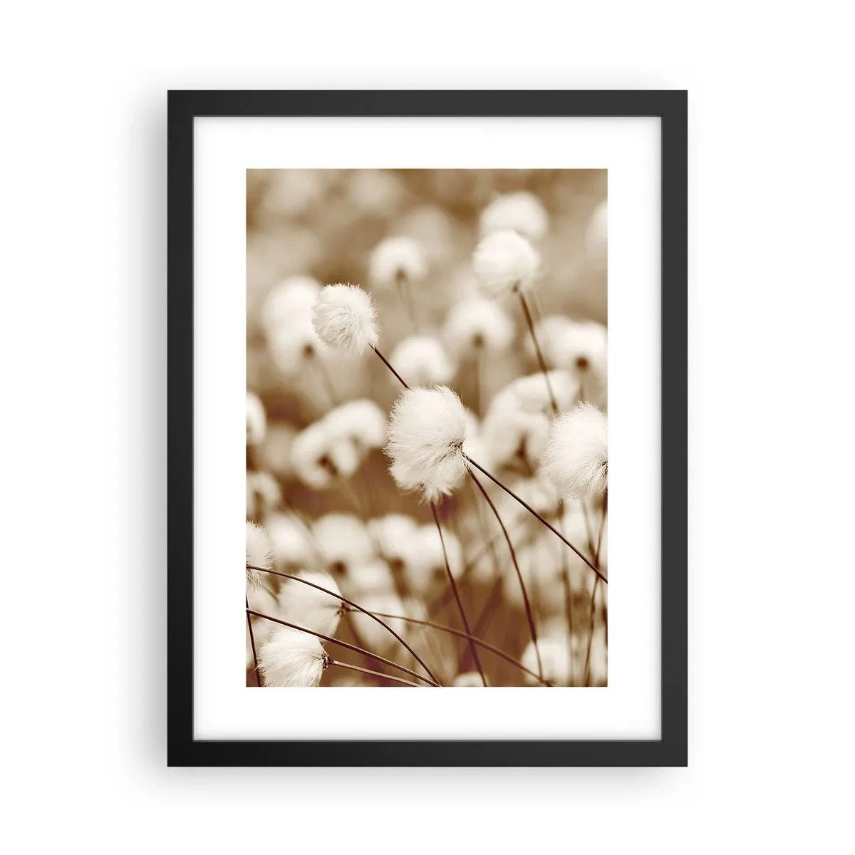 Plakat i sort ramme - Fyldig mark - 30x40 cm
