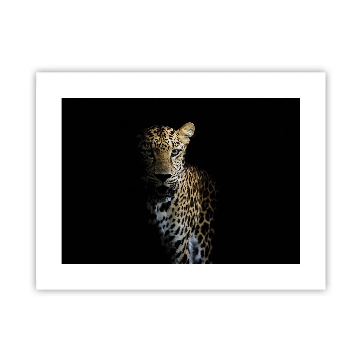Plakat - Mørk skønhed - 40x30 cm
