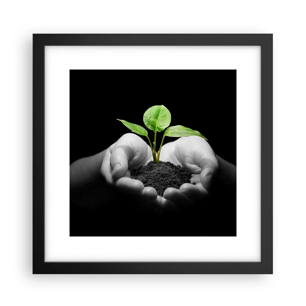 Plakat i sort ramme - Jeg elsker naturen, jeg beskytter den - 30x30 cm