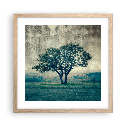 Plakat i ramme af lyst egetræ - Et æbletræ på en blå membran? - 40x40 cm