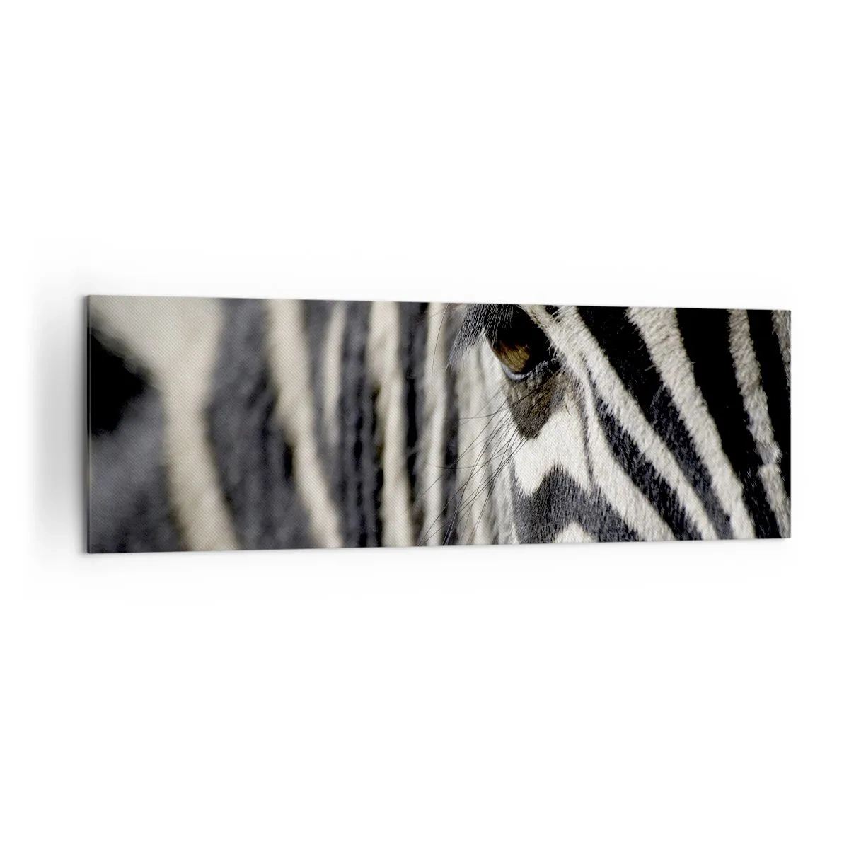 Lærredstryk - Billede på lærred - Stribet portræt - 160x50 cm