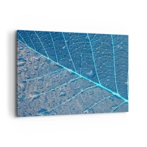 Lærredstryk - Billede på lærred - Livet i det blå - 100x70 cm