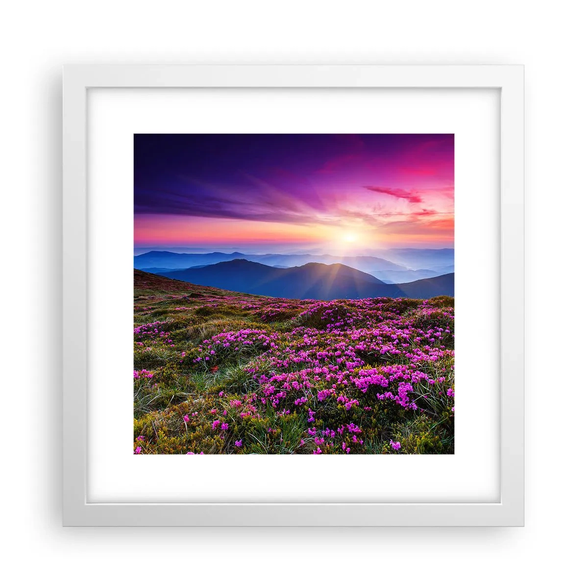 Plakat i hvid ramme - Urter duftede friske bundter fra niw - 30x30 cm