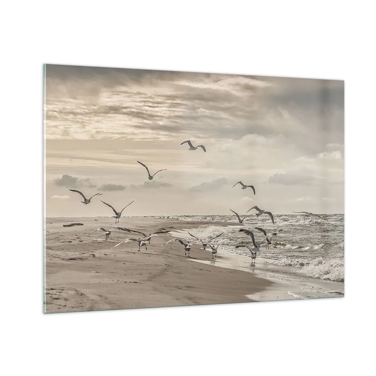 Billede på glas - Havet brummer, fuglene synger - 100x70 cm