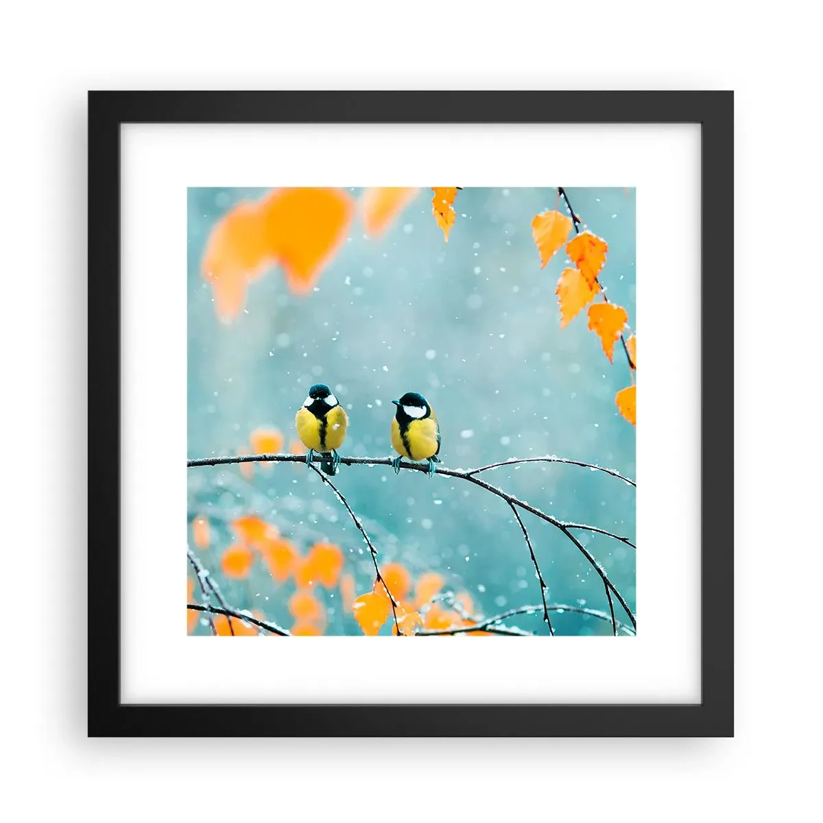 Plakat i sort ramme - Sladder om fugle - 30x30 cm