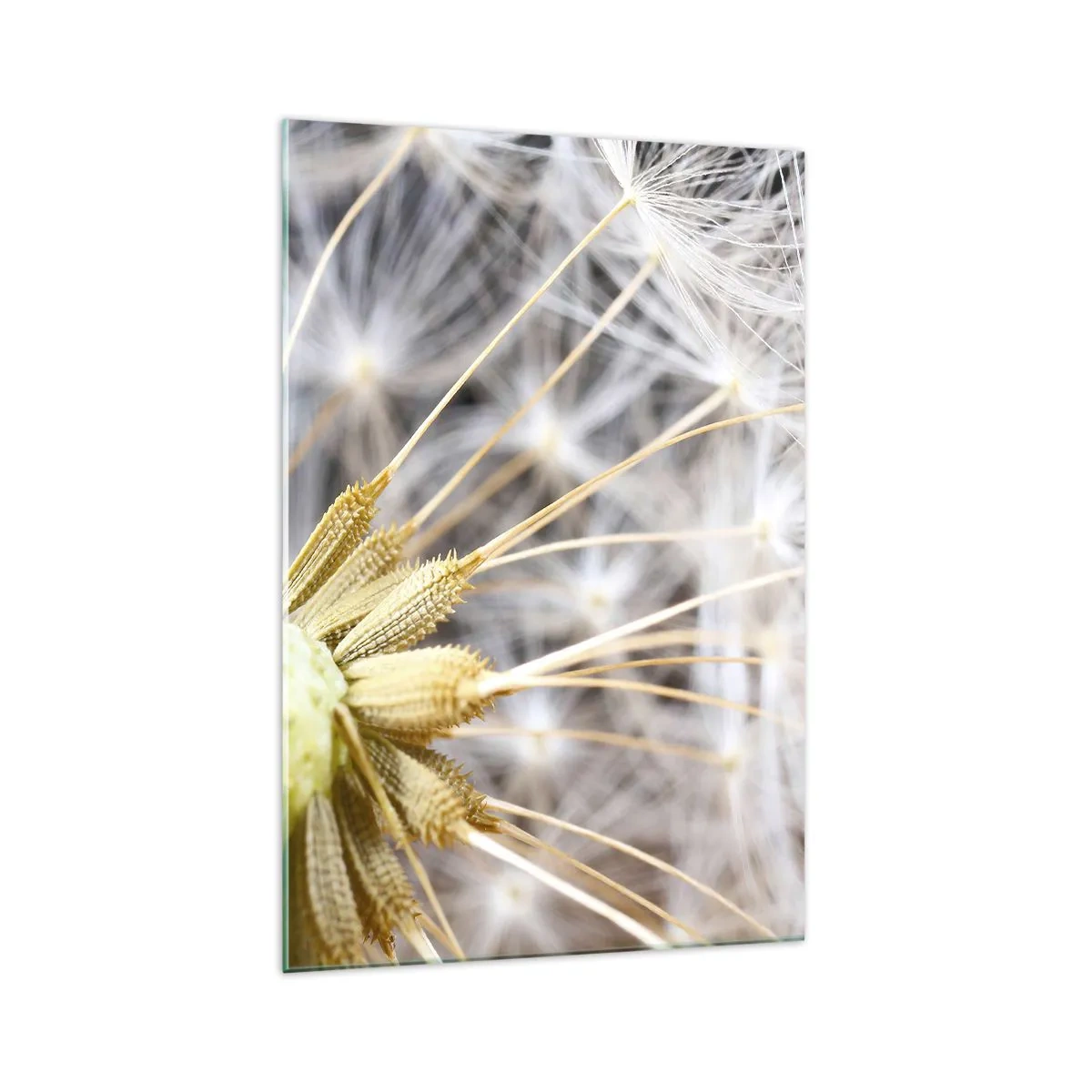 Billede på glas - Lige før afrejse - 70x100 cm