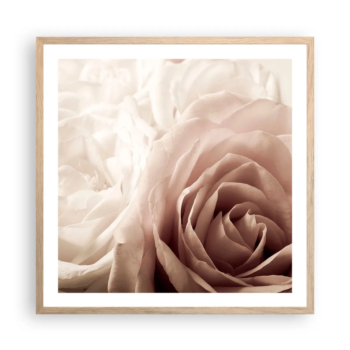 Plakat i ramme af lyst egetræ - I rosens hjerte - 60x60 cm