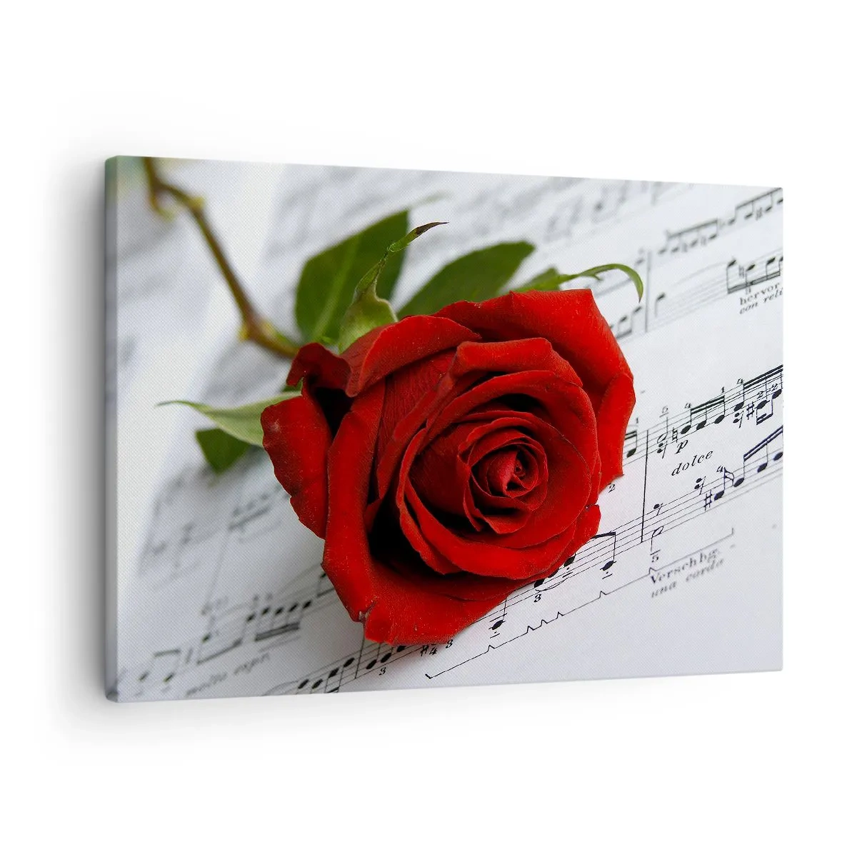Lærredstryk - Billede på lærred - En rød rose mod en baggrund af musikalske noder på hvidt papir. - 70x50cm - Musik af følelser i skarlagenrødt - Moderne vægdekoration til stue og soveværelse ARTTOR